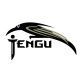 Палатки Tengu в Йошкар-Оле Палатки Tengu в Йошкар-Оле